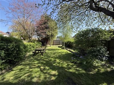 Picture 25